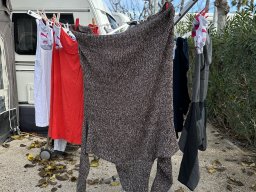 169-06-01-2026 IMG_3369